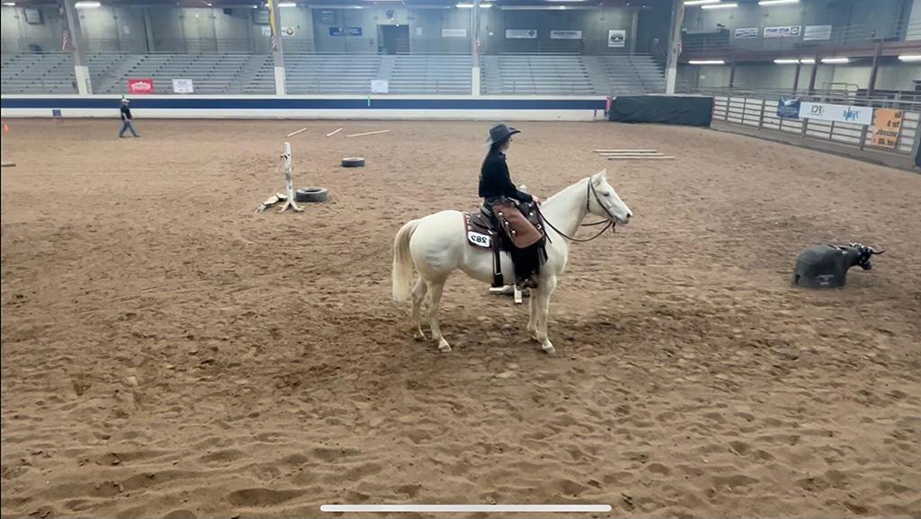 在室内竞技场上，一个女孩骑着一匹白马，用绳子套着一头母牛